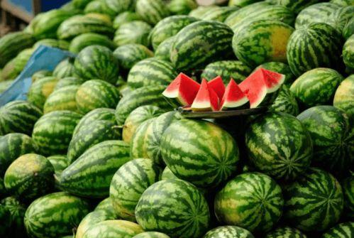 吃瓜的网红都有哪些,揭秘热门吃瓜网红背后的故事