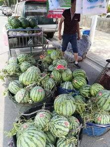 武都吃瓜网红事件,揭秘网络舆论的风暴与真相