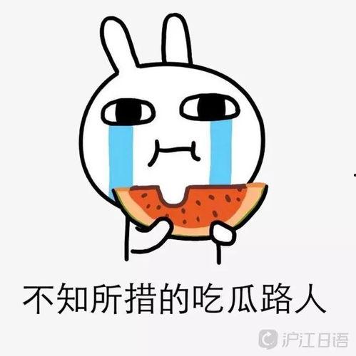 吃瓜娱乐圈的大事